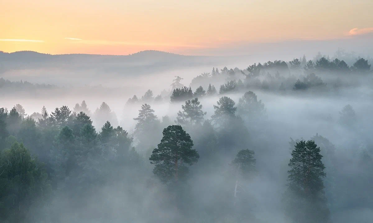 #56 fog_2