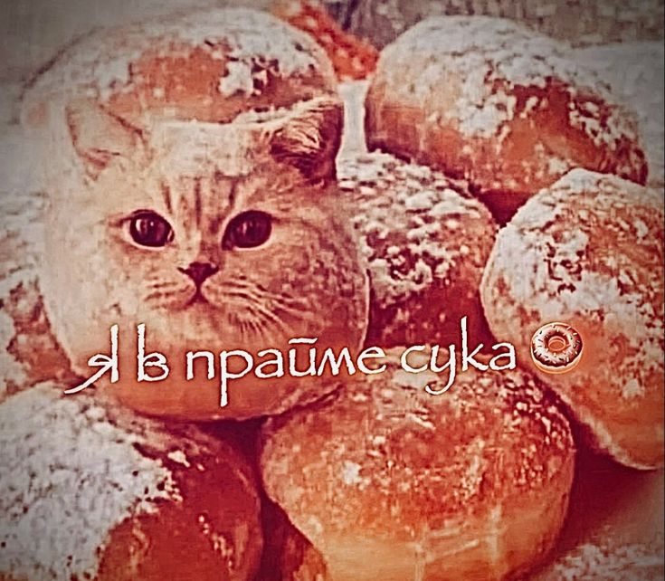 многоэтажка