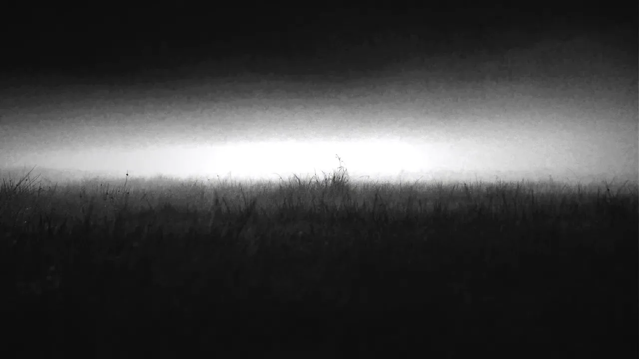 disharmony