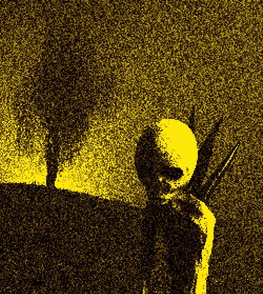 аутентично жанру