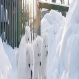 деревня сваговка
