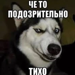 не получилось подкрасться *_*