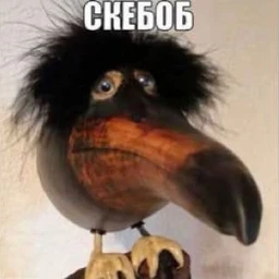 че етоа