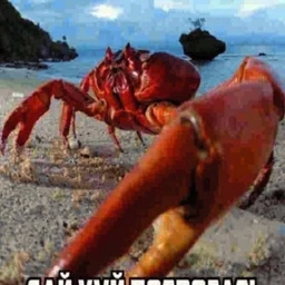 аудио гена цид
