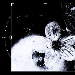 "sick love" | ethereal trap