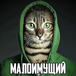 neojid