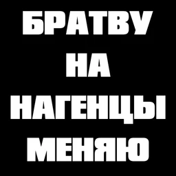 shampo
