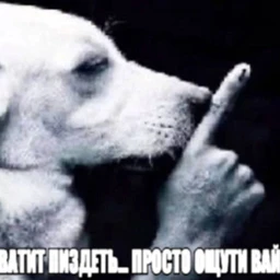 OGRAGE!!