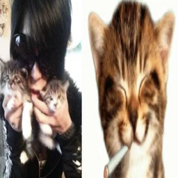 kitty//:3
