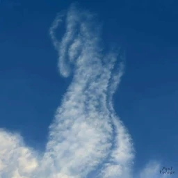puti odin