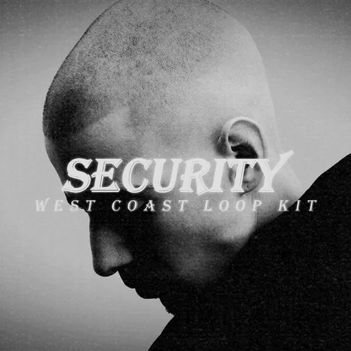 Security Loop Kit