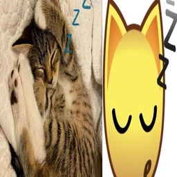 на моей шее