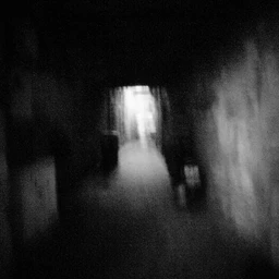 dead road *_*