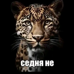 Chernobyl'