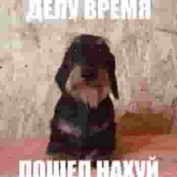 we