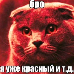 MM6