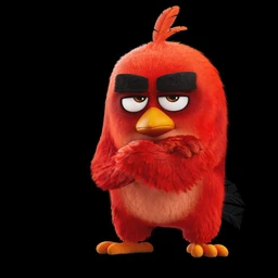 angry burds