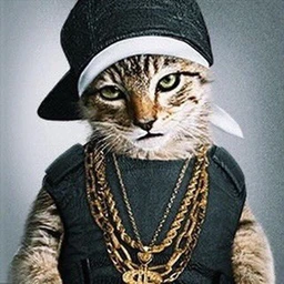 k4neswagga