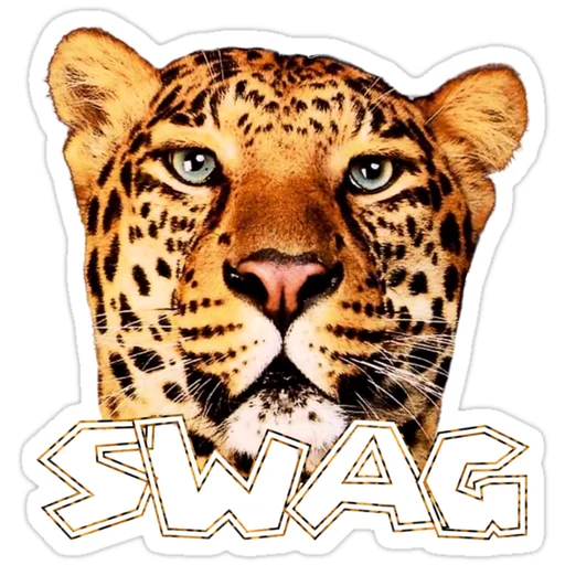 SWAG loopkit 2000s