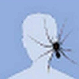 паук