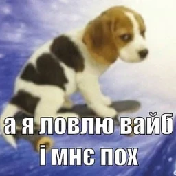 qw