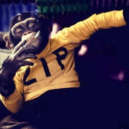MONKEY STYLE
