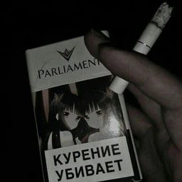 wai sigi