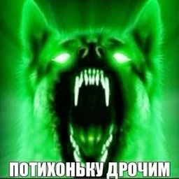 ДР*Ч* П*Д Б*Т!!!