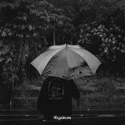 Survive
