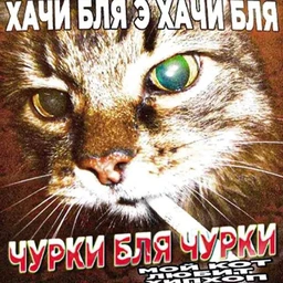 DIE HUMAN