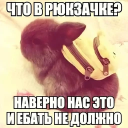obereg