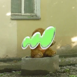 Corn