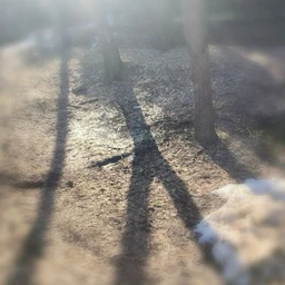 \\ @selikka