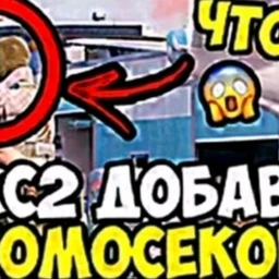 янгзавадигикор