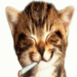 cutee