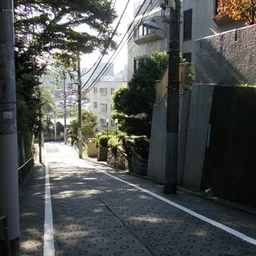 Tokyo street