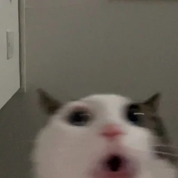 Attack