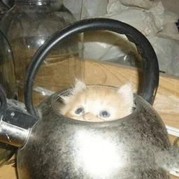 Cчастье любит тишину