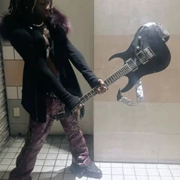 Riser
