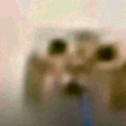 ulica