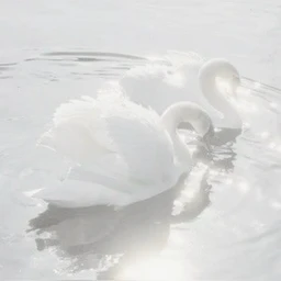 silent