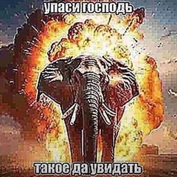 Svarka