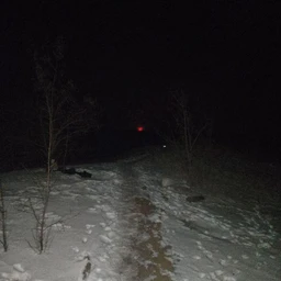 DEATHLAND