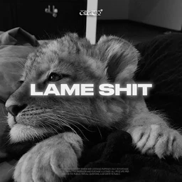 LAME SHIT