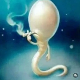 SPERMA