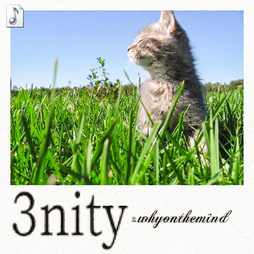 3nity