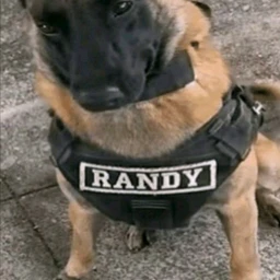 RANDY