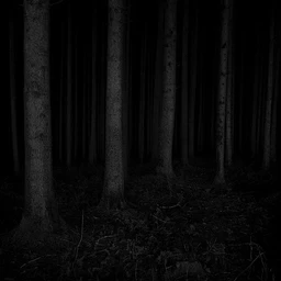 DARKNESS