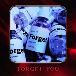 Forget You