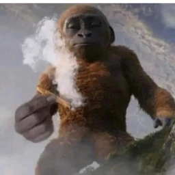 kakoy to strani dom